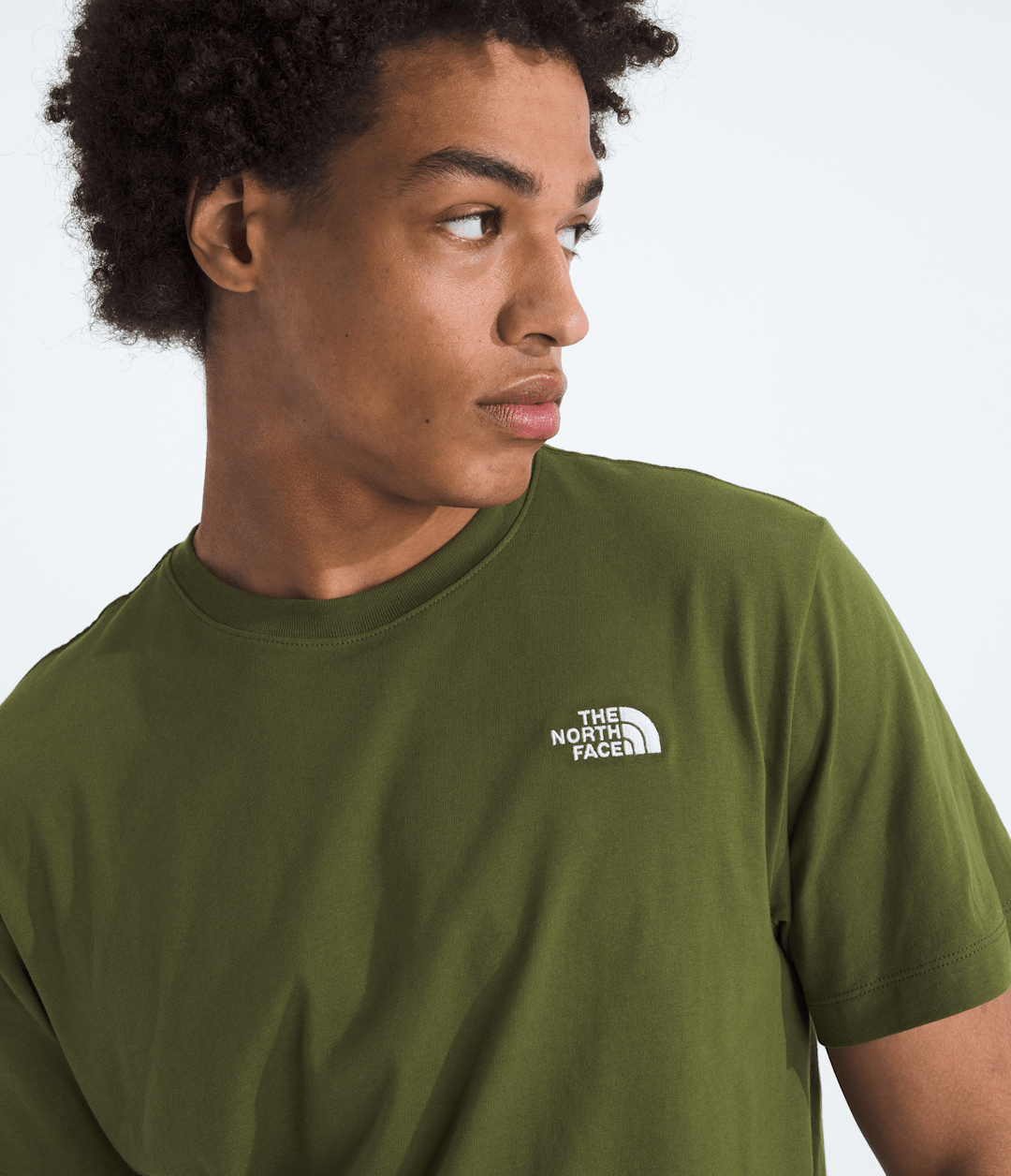 The North Face Men’s Evolution Simple Dome Regular Short-Sleeve Tee