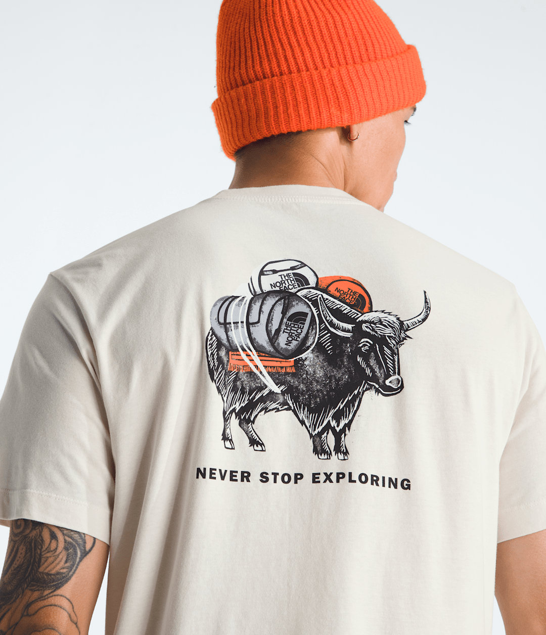 The North Face Men’s Evolution Vault Tri Pack Short-Sleeve Tee—Graphic