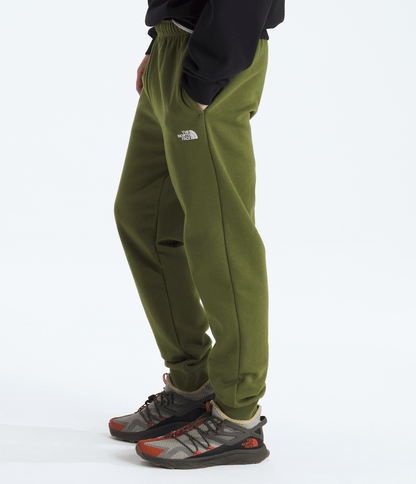 The North Face Men’s Evolution Simple Dome Regular Joggers