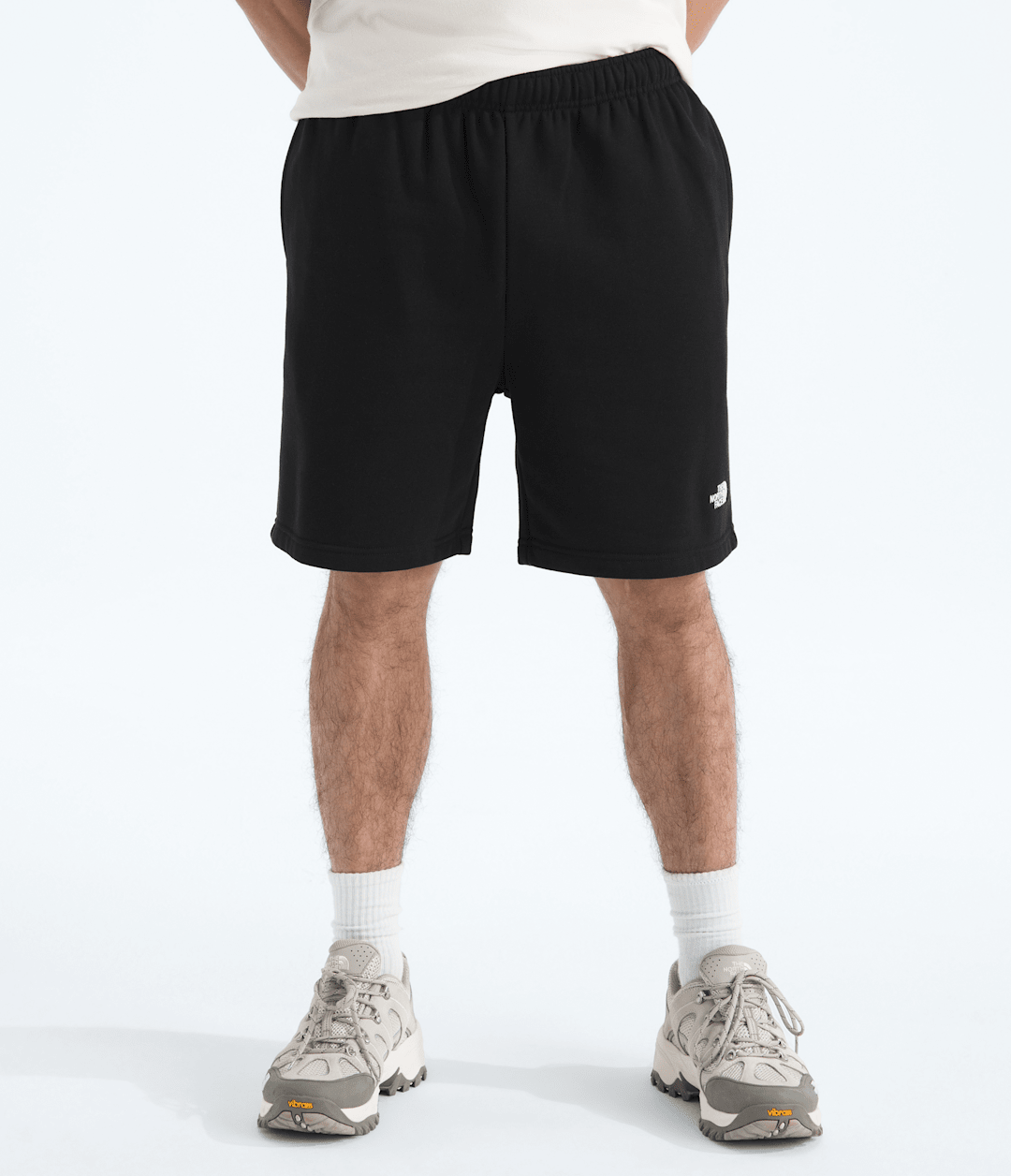 The North Face Men’s Evolution Simple Dome Regular Shorts
