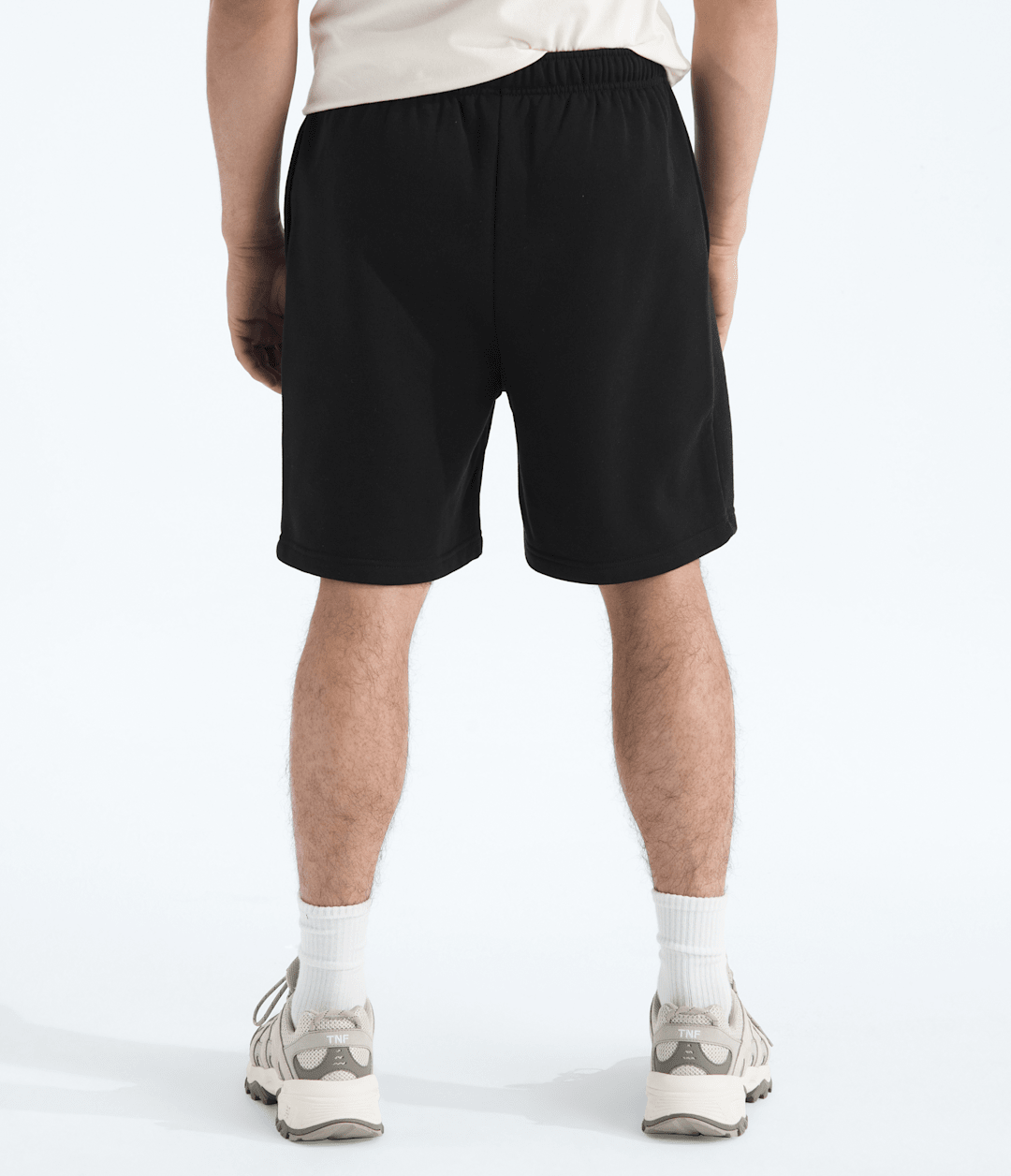 The North Face Men’s Evolution Simple Dome Regular Shorts