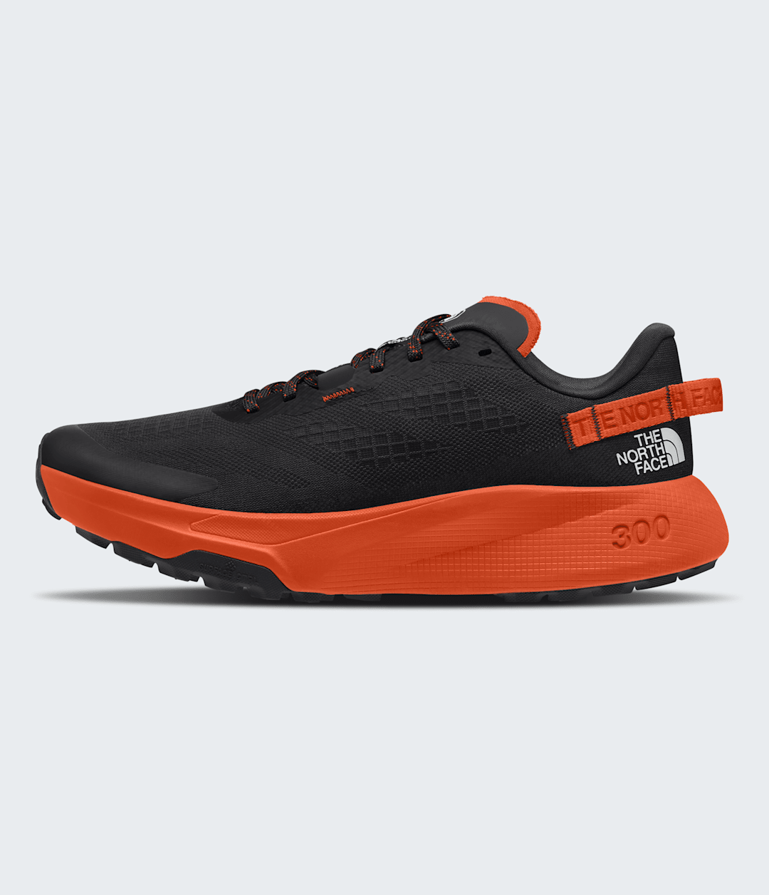 The North Face Men’s Altamesa 300 Shoes