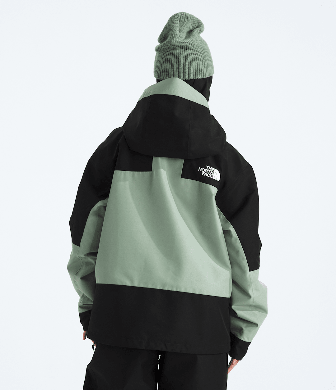 The North Face Women’s GORE-TEX® Hex Jacket