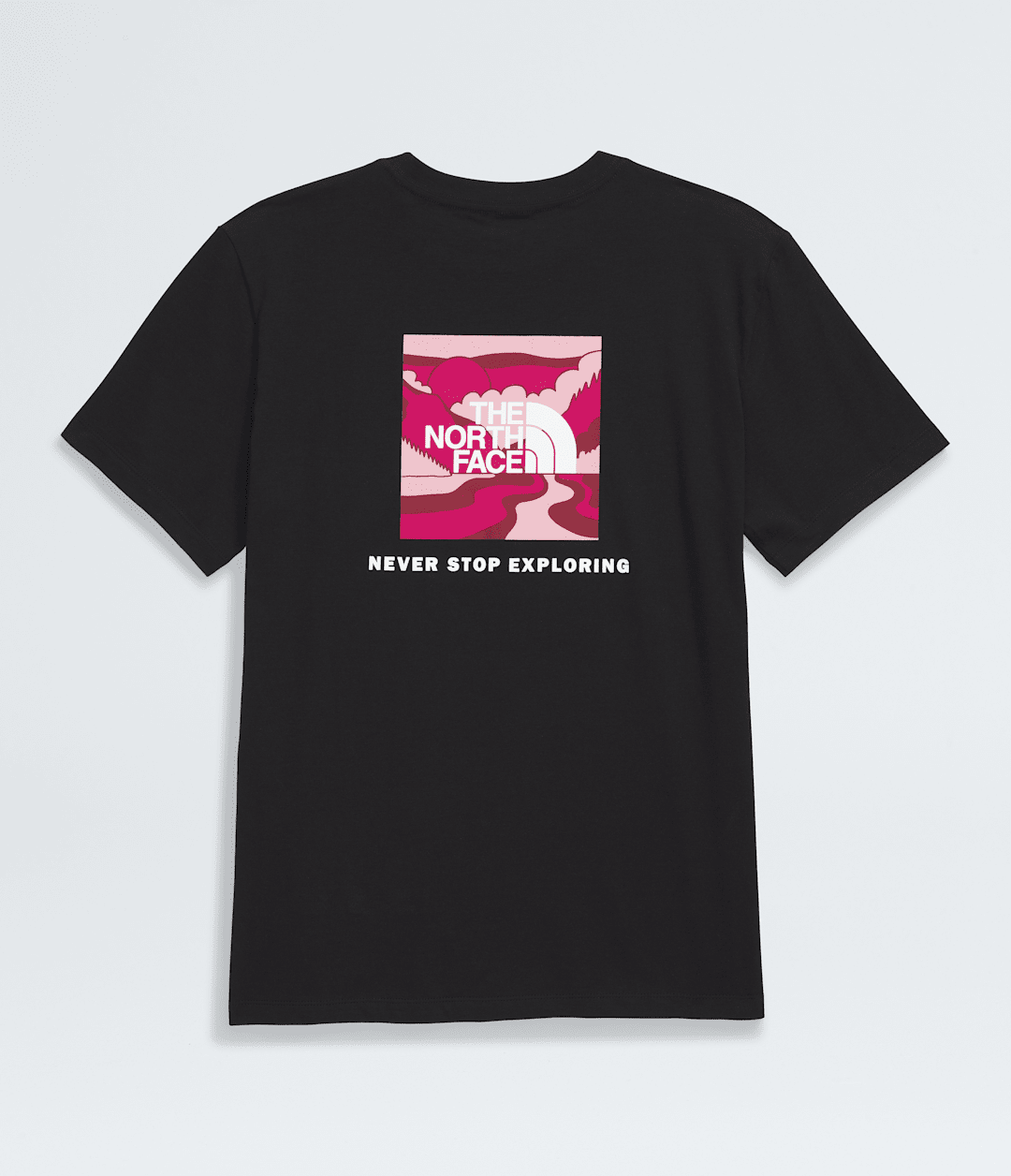 The North Face Women's Short-Sleeve Core Outdoor Valley Box NSE Tee