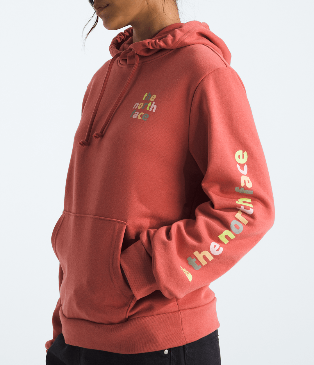 The North Face Women’s Evolution Proud Hoodie—Graphic