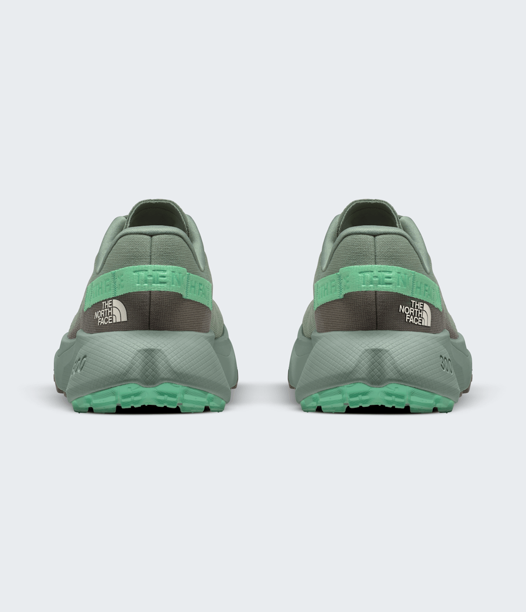 The North Face Women’s Altamesa 300 Shoes