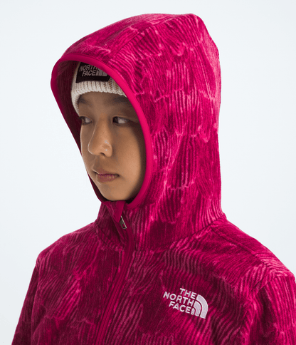 The North Face Boys’ & Girls’ Glacier Full-Zip Hoodie—Print