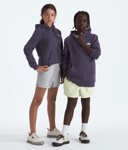 The North Face Boys’ & Girls’ Evolution Simple Dome Pullover Hoodie