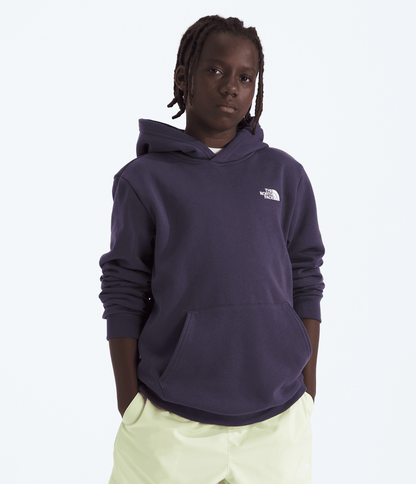 The North Face Boys’ & Girls’ Evolution Simple Dome Pullover Hoodie