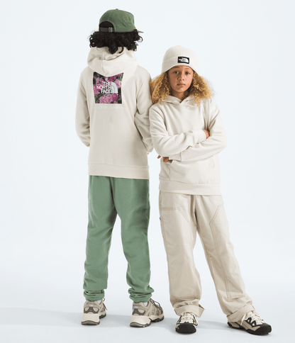 The North Face Boys’ & Girls’ Evolution Box NSE Pullover Hoodie—Graphic
