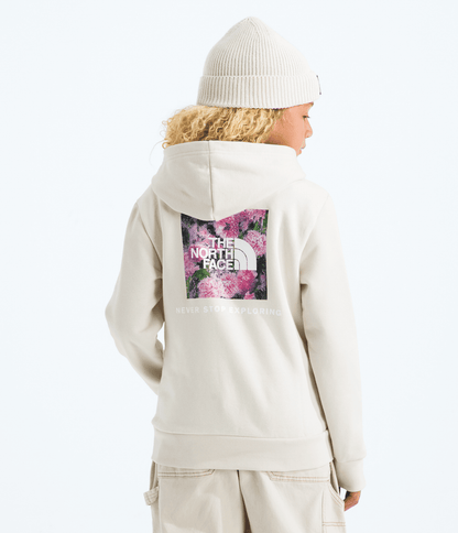 The North Face Boys’ & Girls’ Evolution Box NSE Pullover Hoodie—Graphic