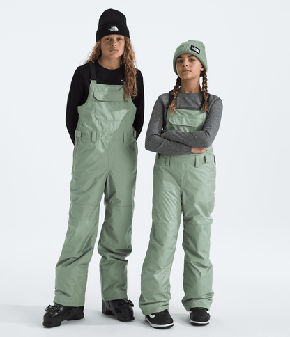 The North Face Boys’ & Girls’ Freedom Insulated Bibs