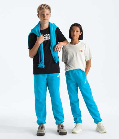 The North Face Boys’ & Girls’ Evolution Simple Dome Pants