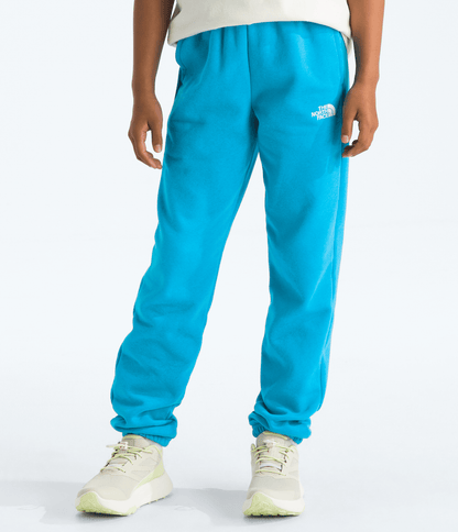 The North Face Boys’ & Girls’ Evolution Simple Dome Pants