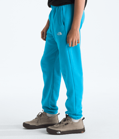 The North Face Boys’ & Girls’ Evolution Simple Dome Pants
