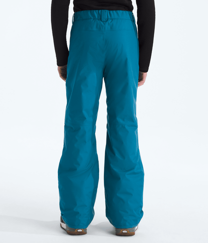 The North Face Boys’ Freedom Insulated Pants