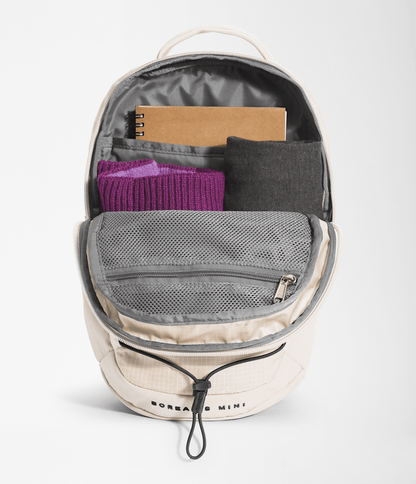 The North Face Borealis Mini Backpack