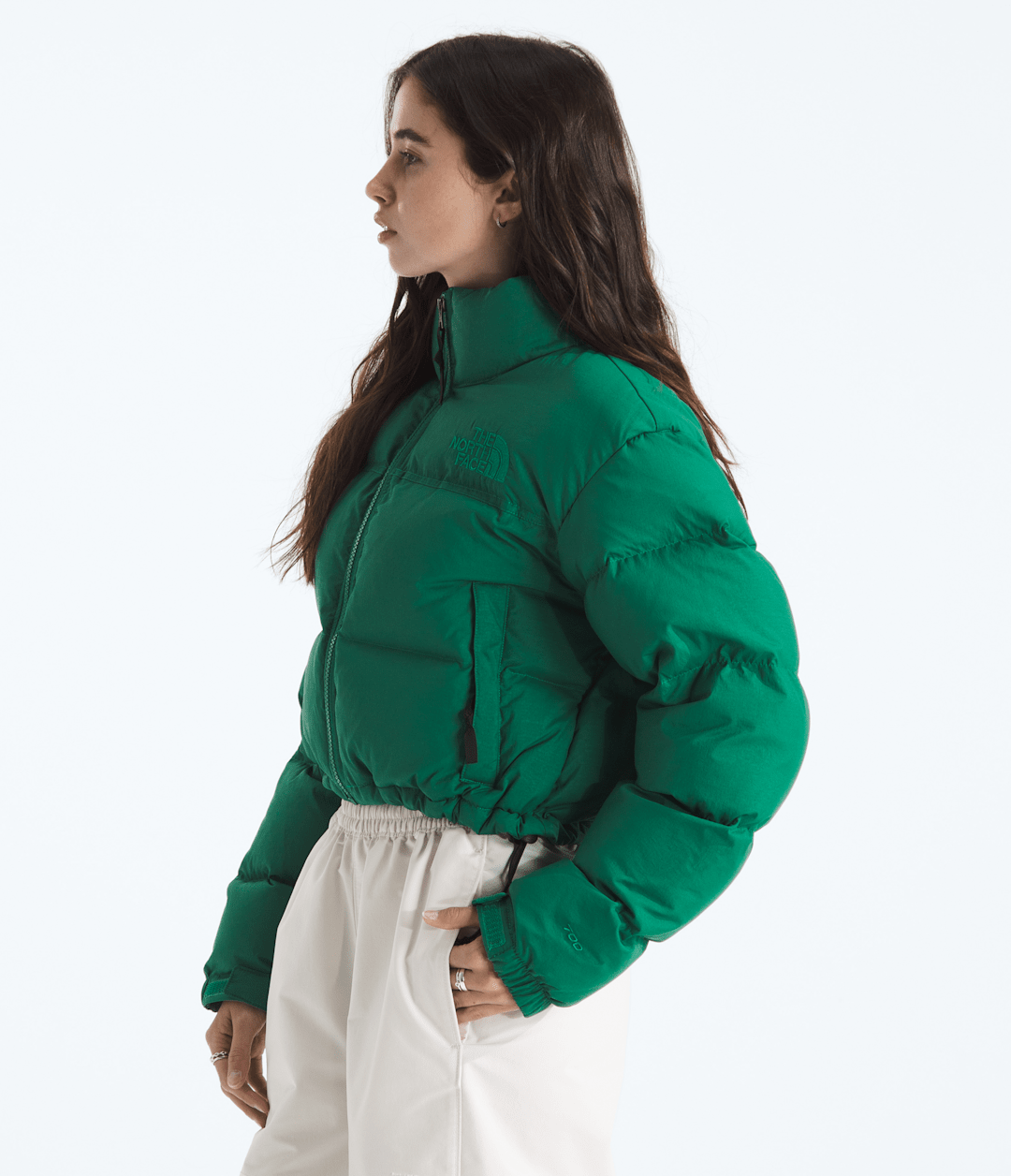 The North Face Women’s Nuptse Short DTM Jacket