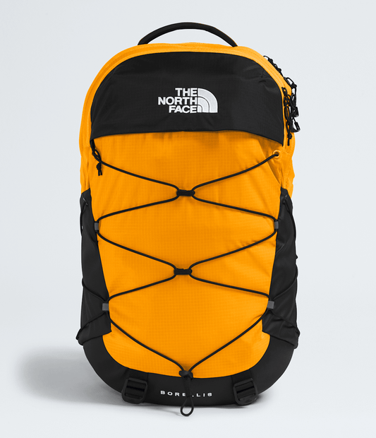 The North Face Borealis Backpack