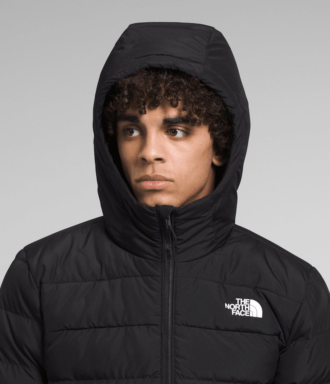 The North Face Men’s Aconcagua 3 Hoodie
