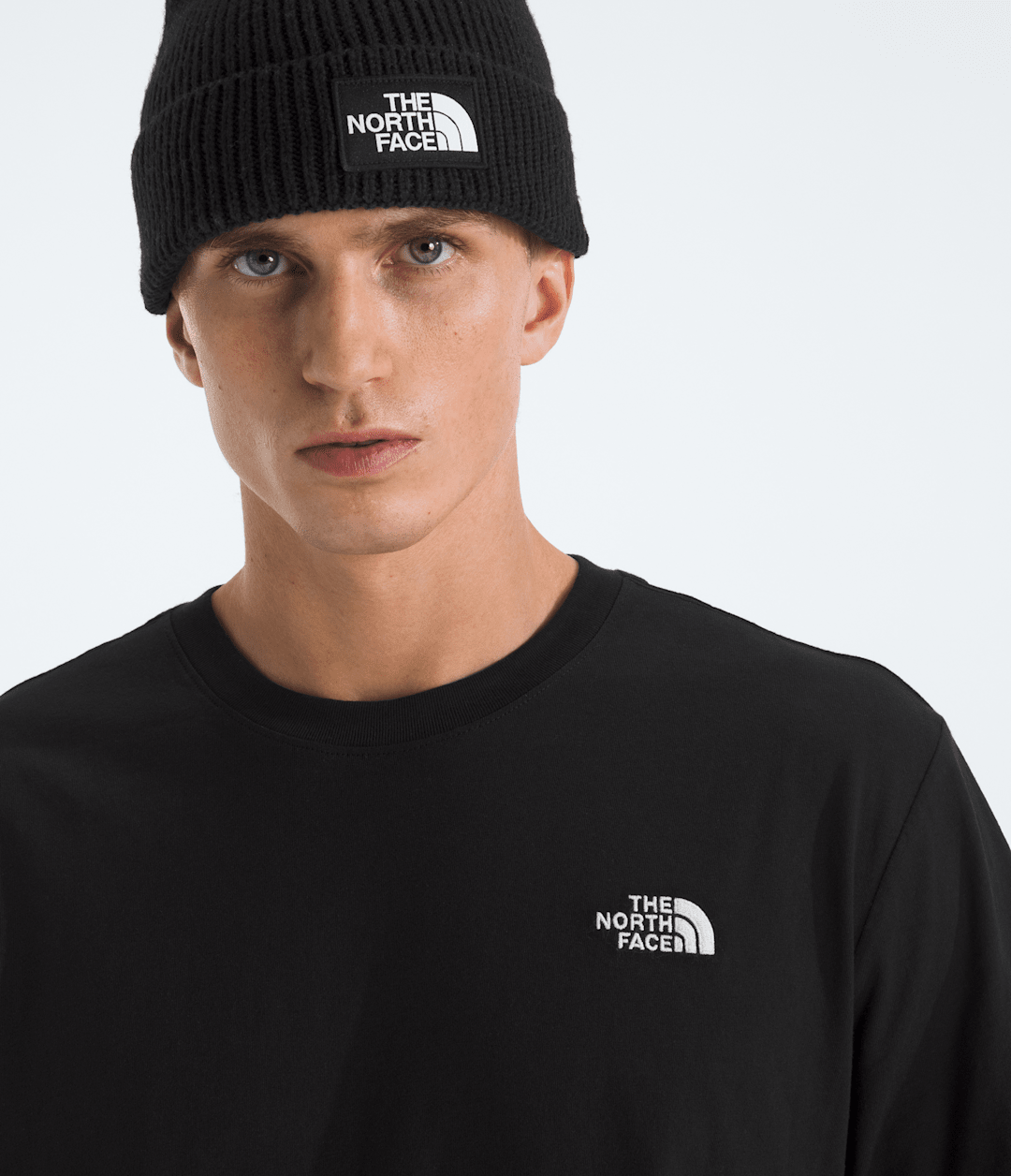 The North Face Men’s Evolution Simple Dome Regular Short-Sleeve Tee