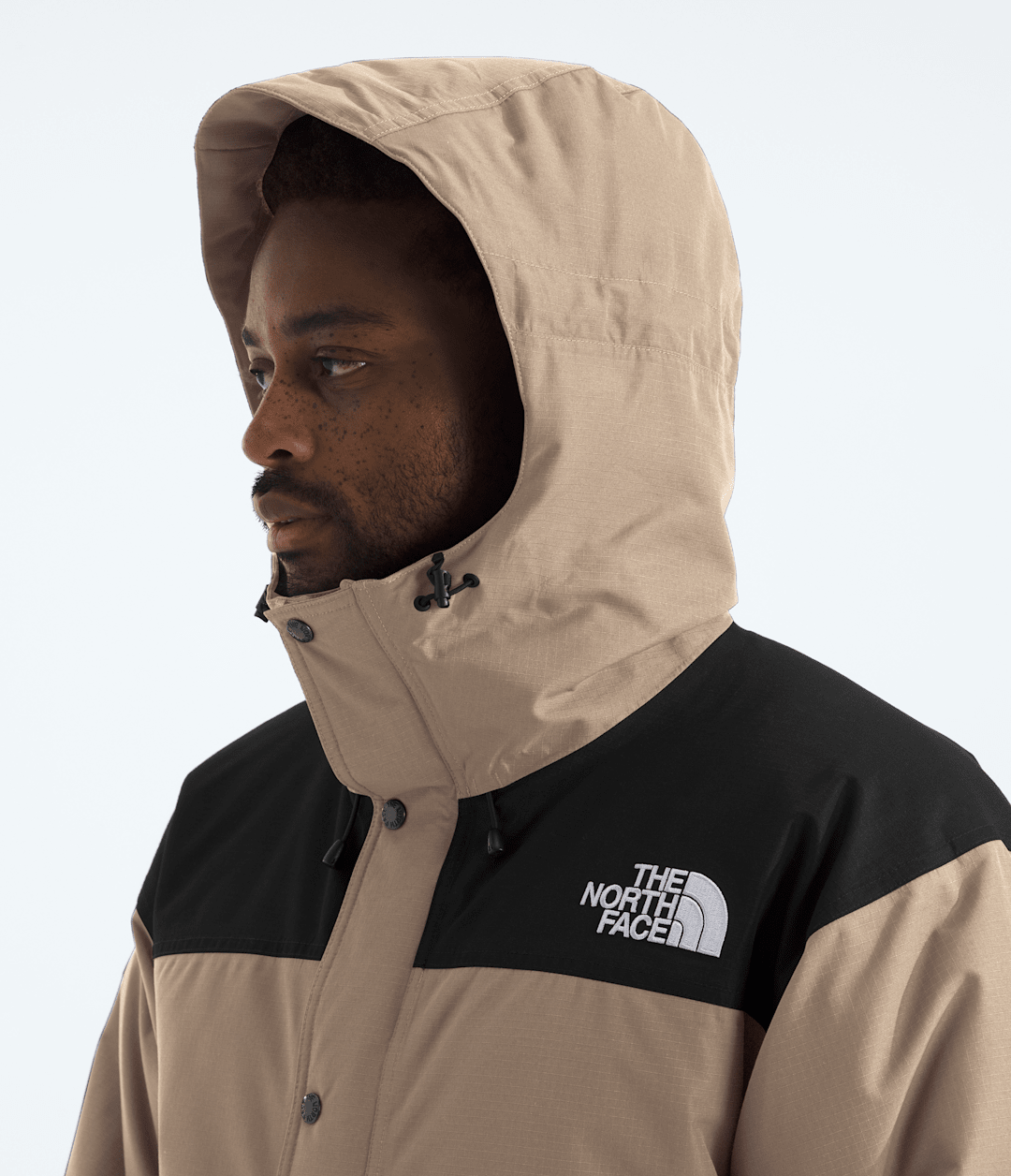 The North Face Men’s Mountain Down Jacket