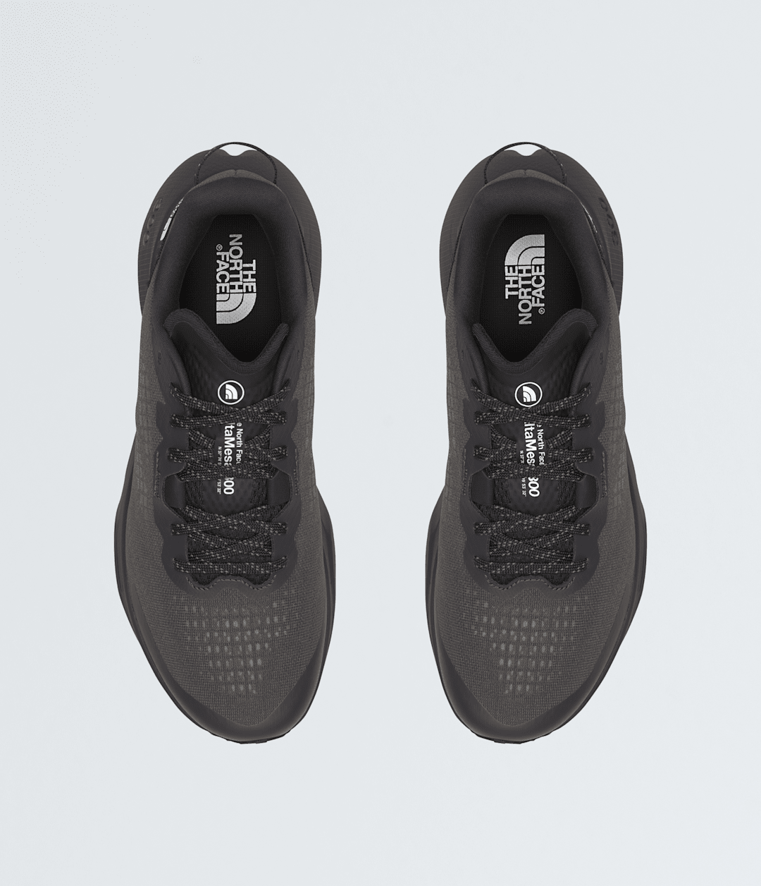 The North Face Men’s Altamesa 300 Shoes