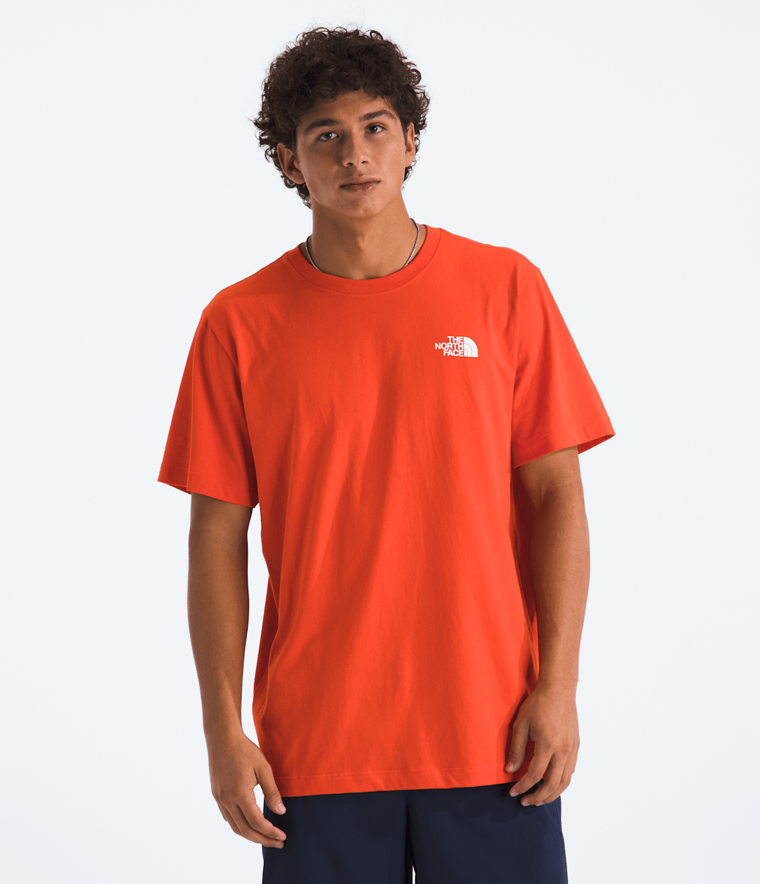 The North Face Men’s Evolution Box NSE Regular Short-Sleeve Tee