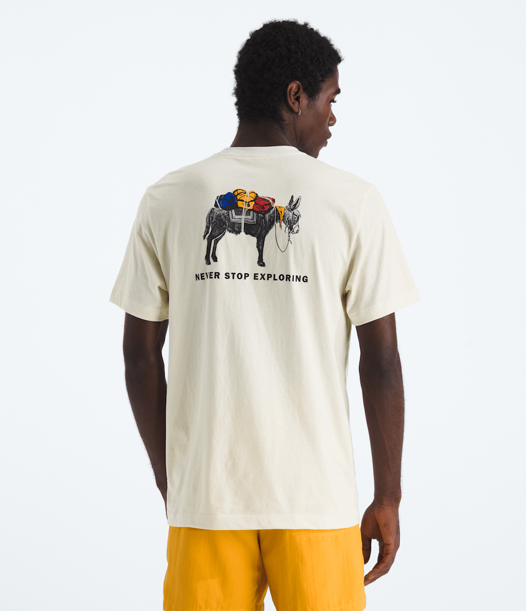 The North Face Men’s Evolution Pack Short-Sleeve Tee—Graphic