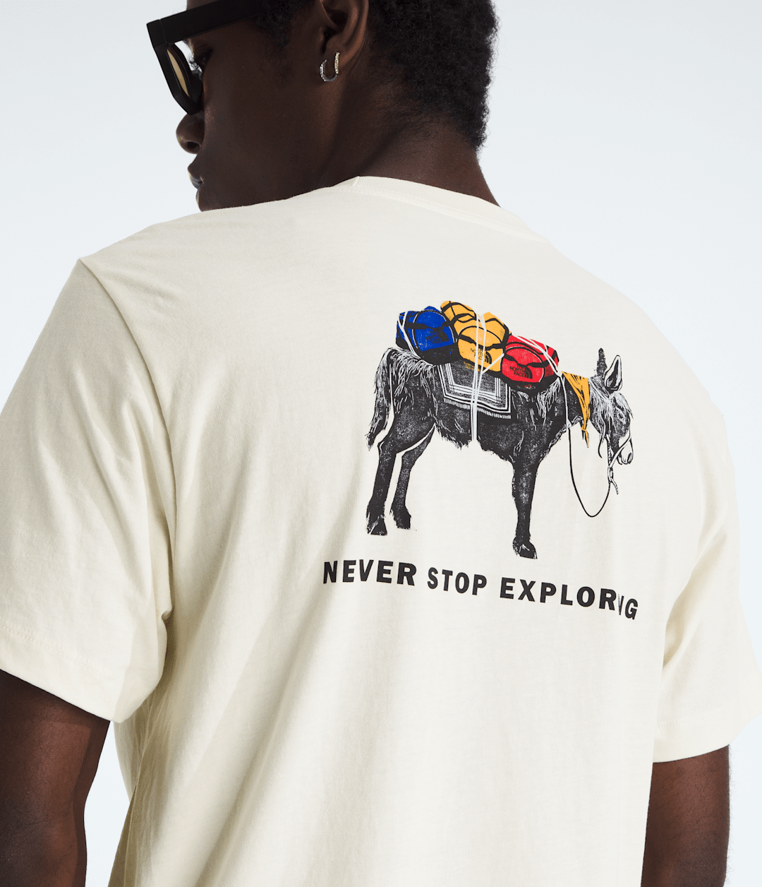 The North Face Men’s Evolution Pack Short-Sleeve Tee—Graphic