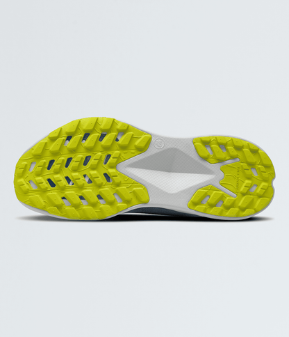 The North Face Men’s Altamesa 300 Shoes