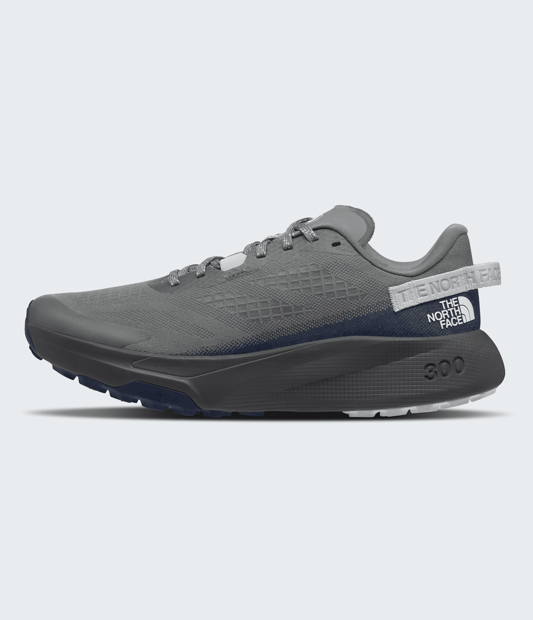 The North Face Men’s Altamesa 300 Shoes