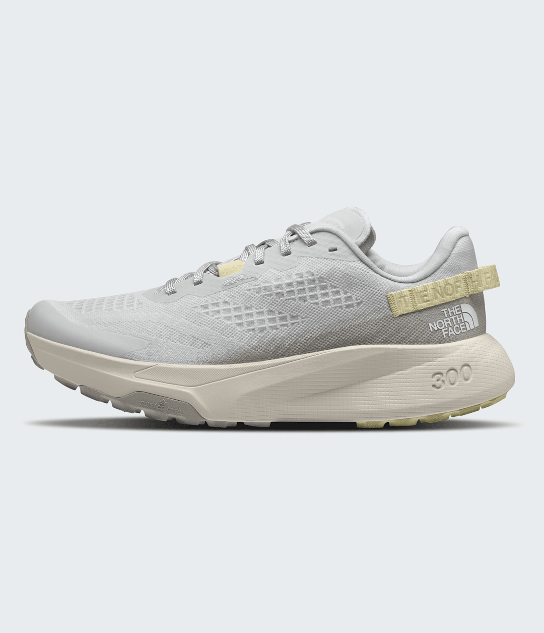 The North Face Men’s Altamesa 300 Shoes