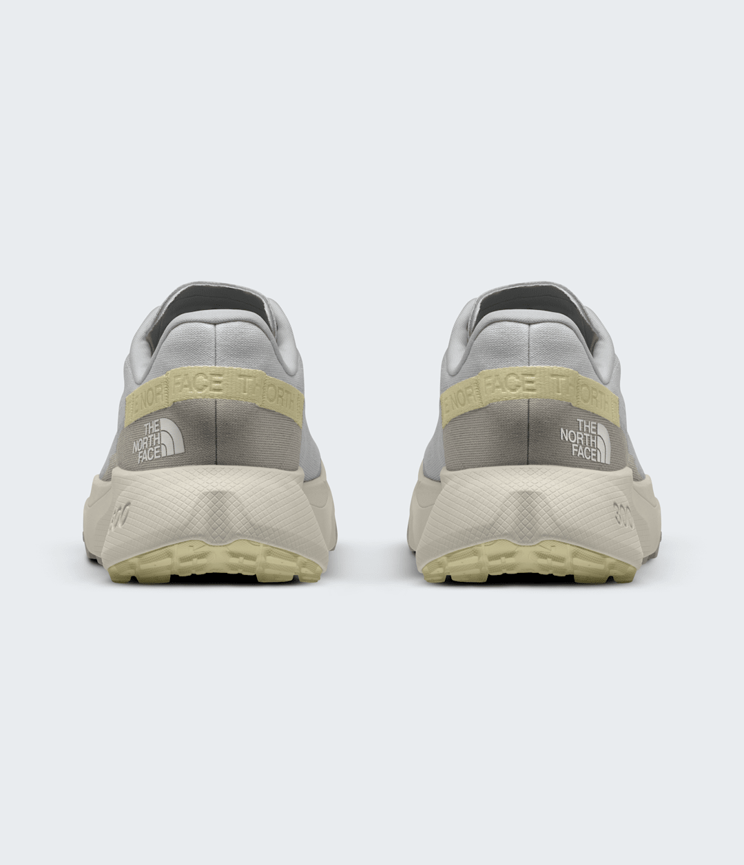 The North Face Men’s Altamesa 300 Shoes