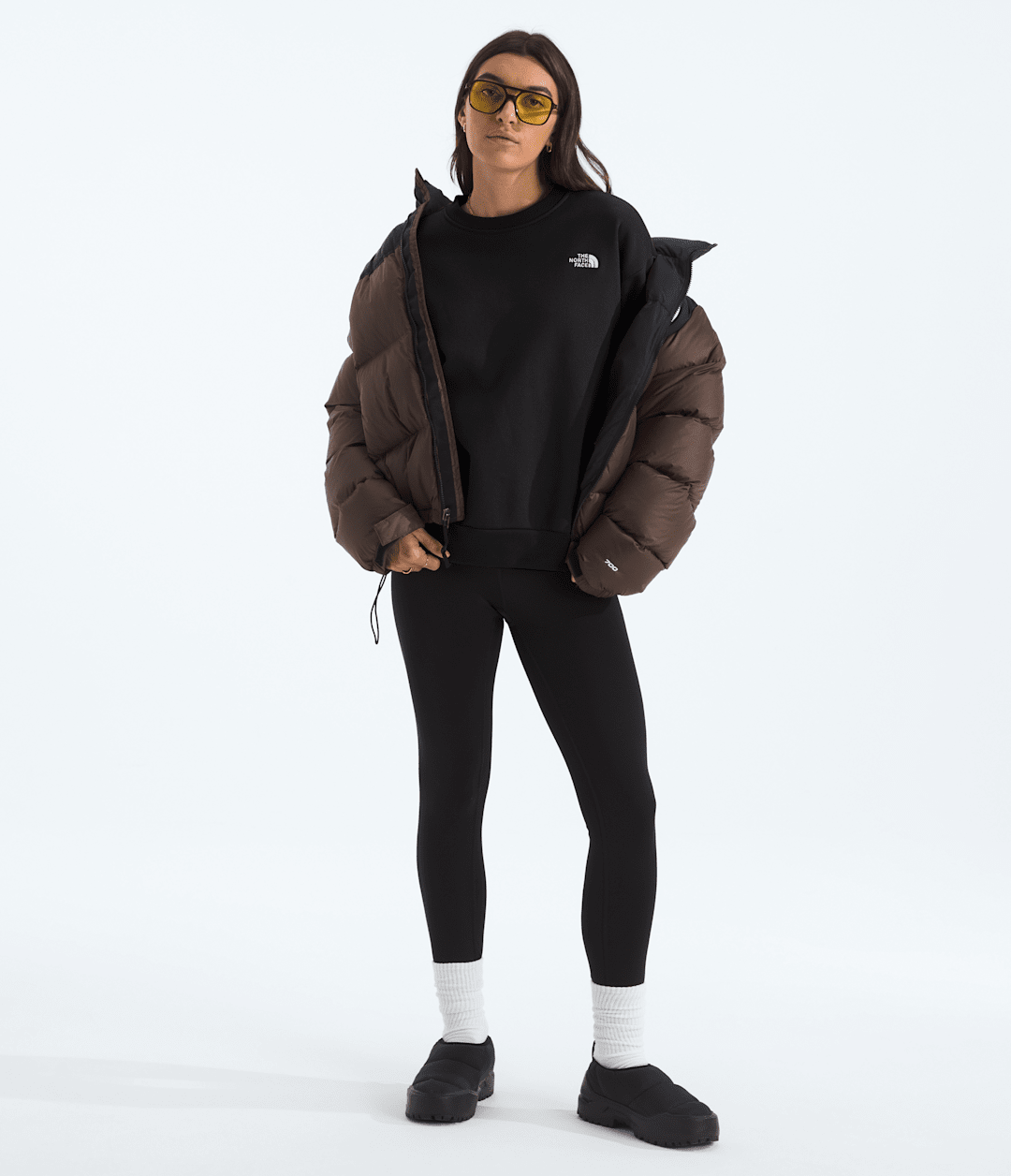 The North Face Women’s Evolution Simple Dome Oversized Crew