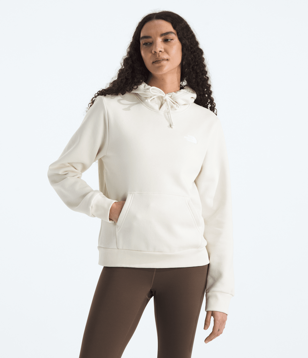 The North Face Women’s Evolution Simple Dome Regular Hoodie