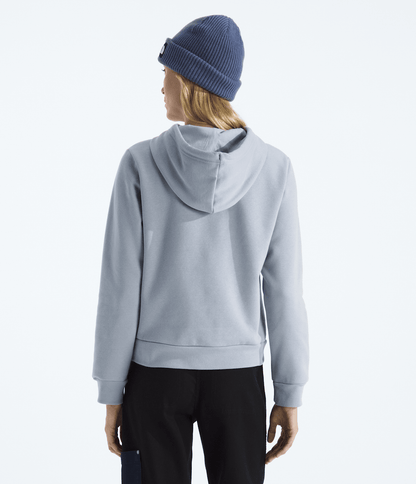 The North Face Women’s Evolution Simple Dome Regular Hoodie