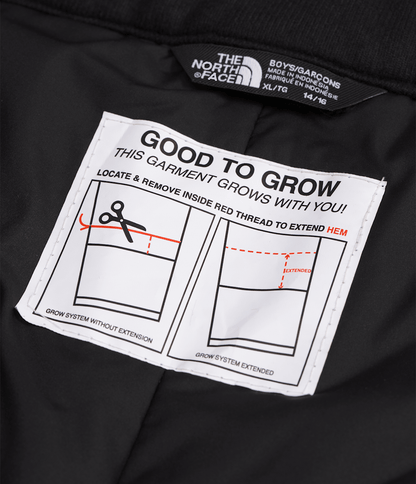 The North Face Boys’ Freedom Insulated Pants