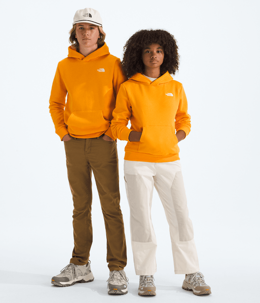 The North Face Boys’ & Girls’ Evolution Simple Dome Pullover Hoodie