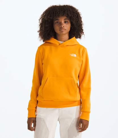 The North Face Boys’ & Girls’ Evolution Simple Dome Pullover Hoodie