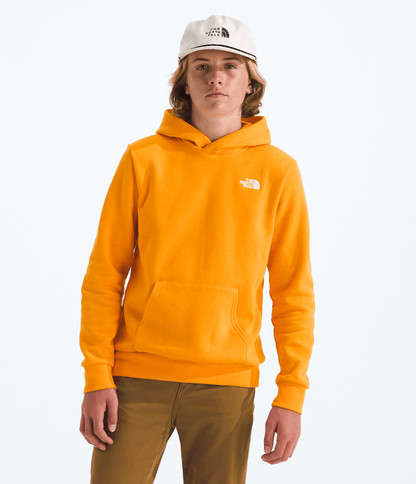 The North Face Boys’ & Girls’ Evolution Simple Dome Pullover Hoodie