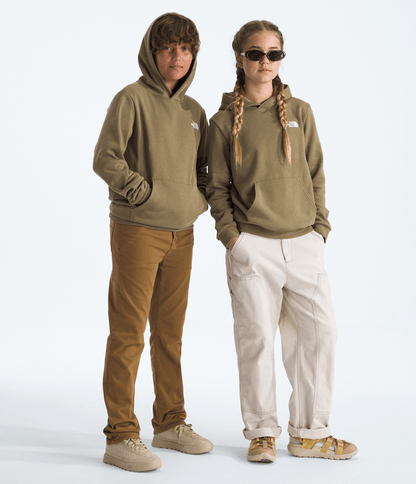 The North Face Boys’ & Girls’ Evolution Simple Dome Pullover Hoodie
