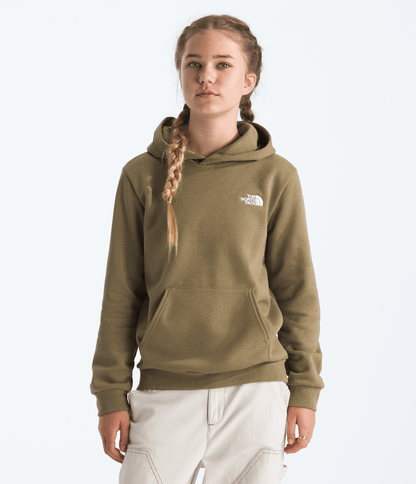 The North Face Boys’ & Girls’ Evolution Simple Dome Pullover Hoodie