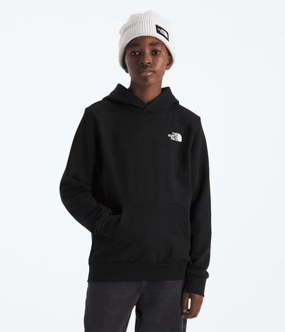 The North Face Boys’ & Girls’ Evolution Box NSE Pullover Hoodie—Graphic