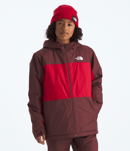 The North Face Boys’ Freedom Insulated Jacket