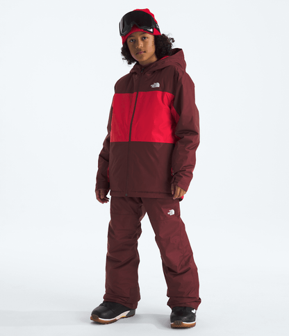 The North Face Boys’ Freedom Insulated Pants