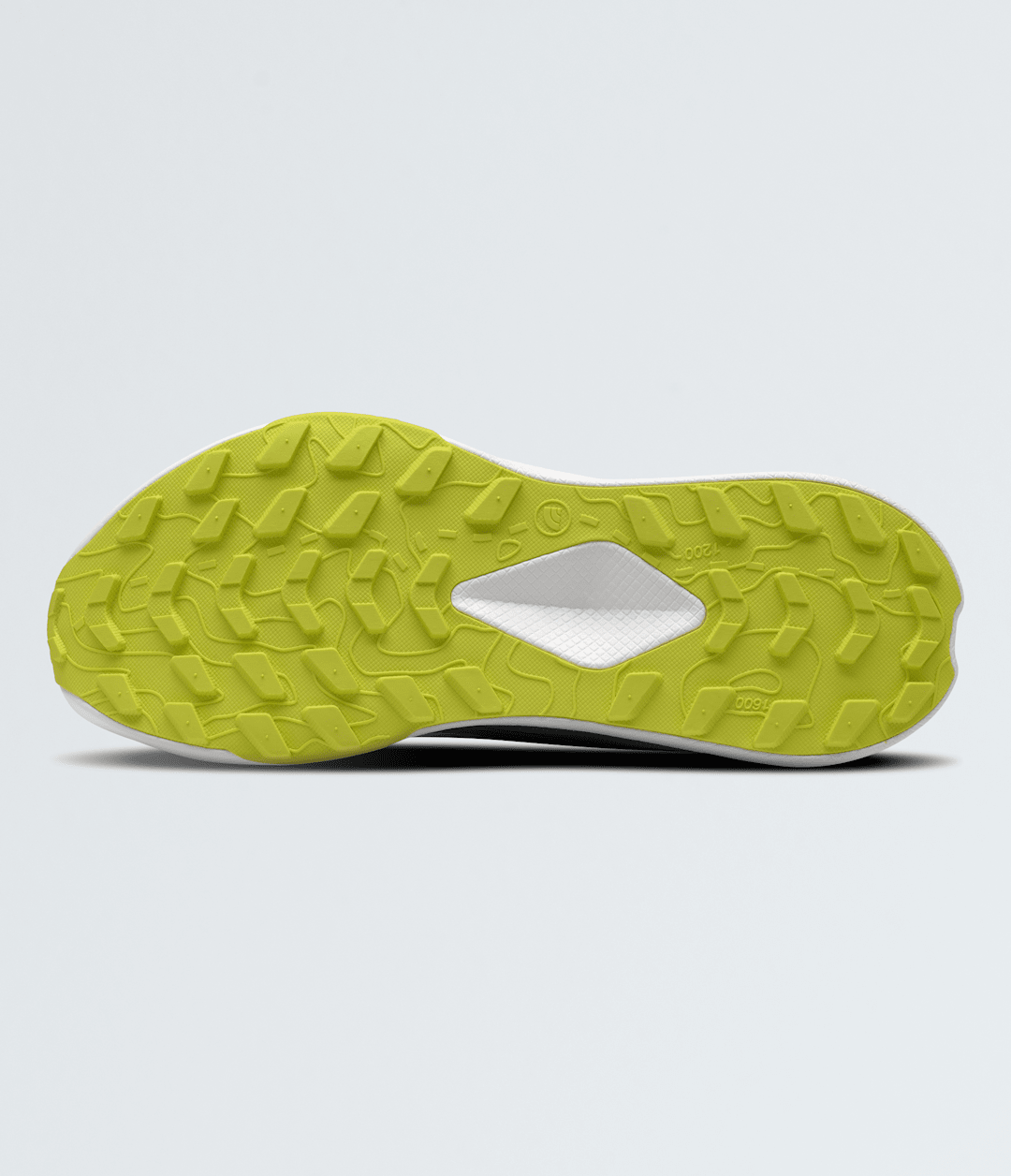The North Face Youth Altamesa Shoes