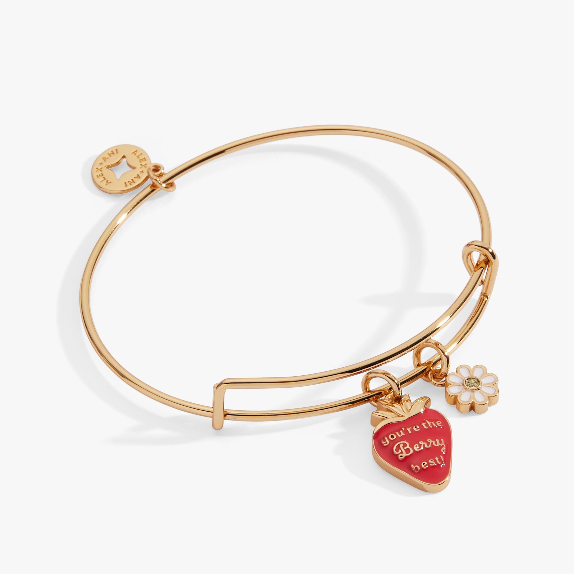 Berry Best Mama Bracelet Bundle  | Alex and Ani