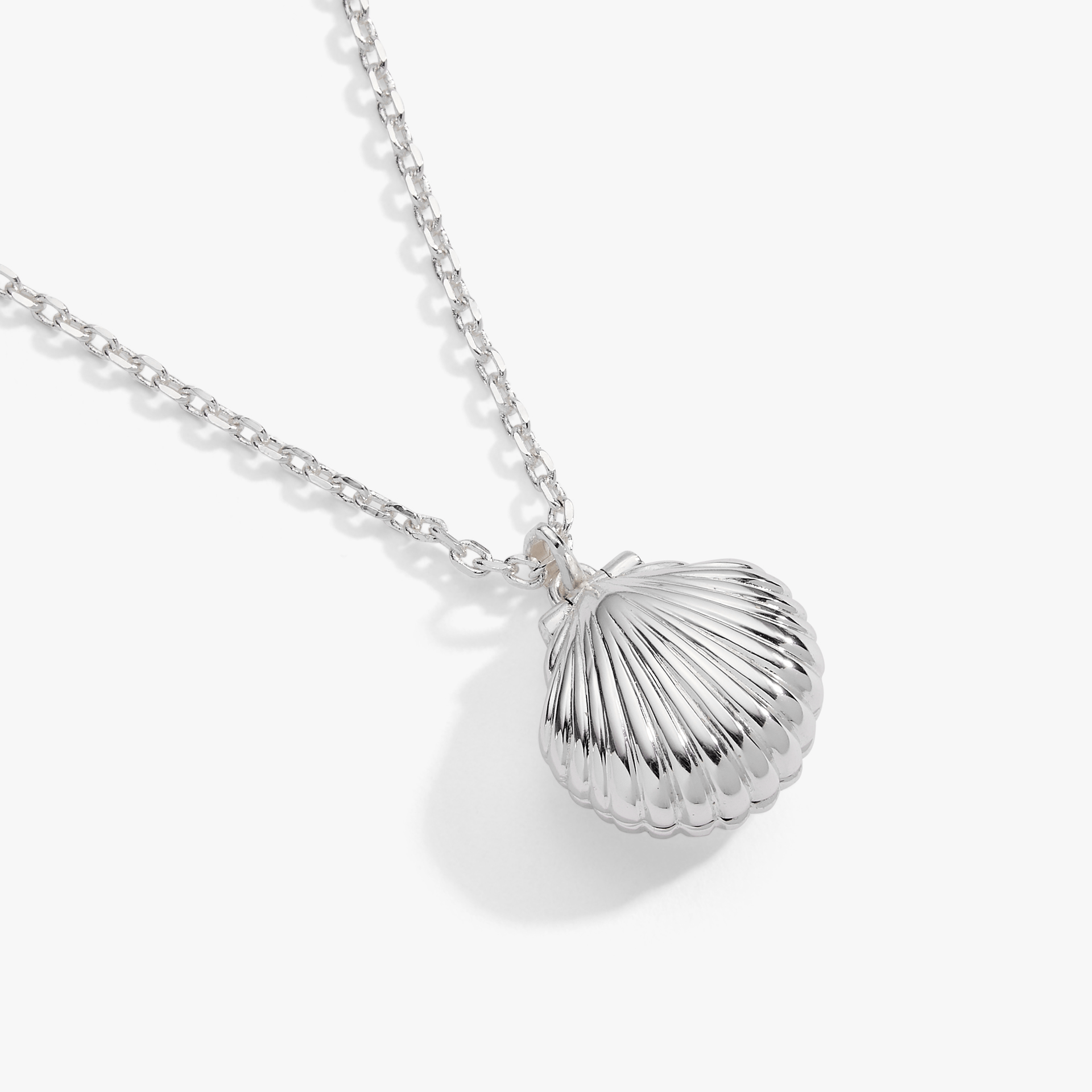 Salt + Sea 'Seashells Are Love Letters In The Sand' Seashell Locket Pendant Silver | Alex and Ani