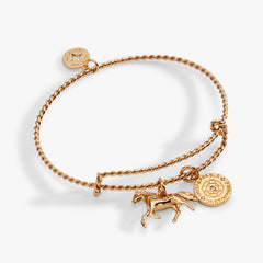 Horse Rope Textured Charm Bangle Gold | Alex and Ani
